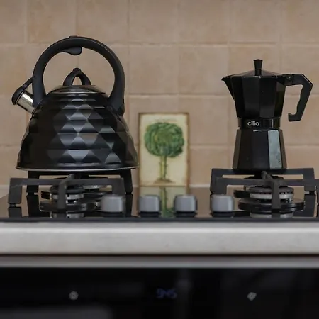 Lejlighed Cozy Near Airport By Renters